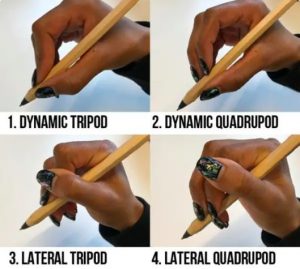 Handwriting grips